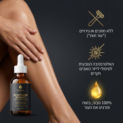 Velura™ | Cyperus Oil – סרום בוטני להאטת צמיחת השיער ודילול השערה מהשורש